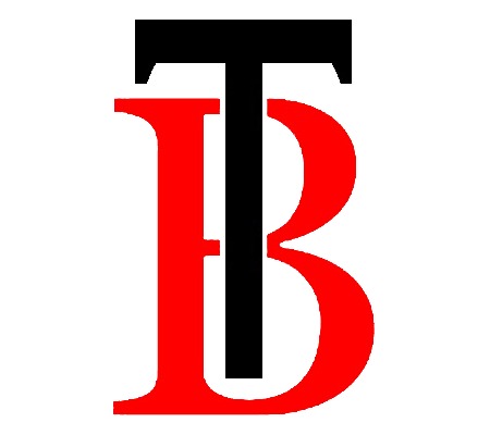 MintC Tech partner: TopBidz Auction Logo